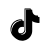 tiktok icon